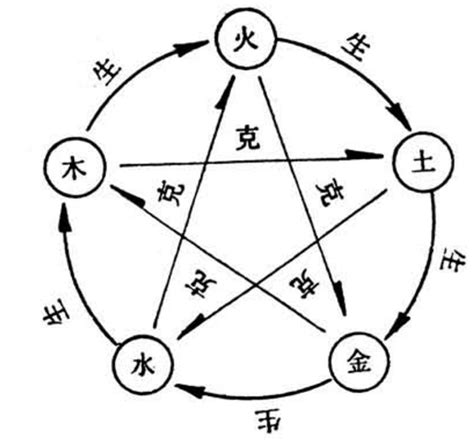 水和木 五行|水与木 的关系？